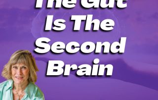 The Gut Is The Second Brain