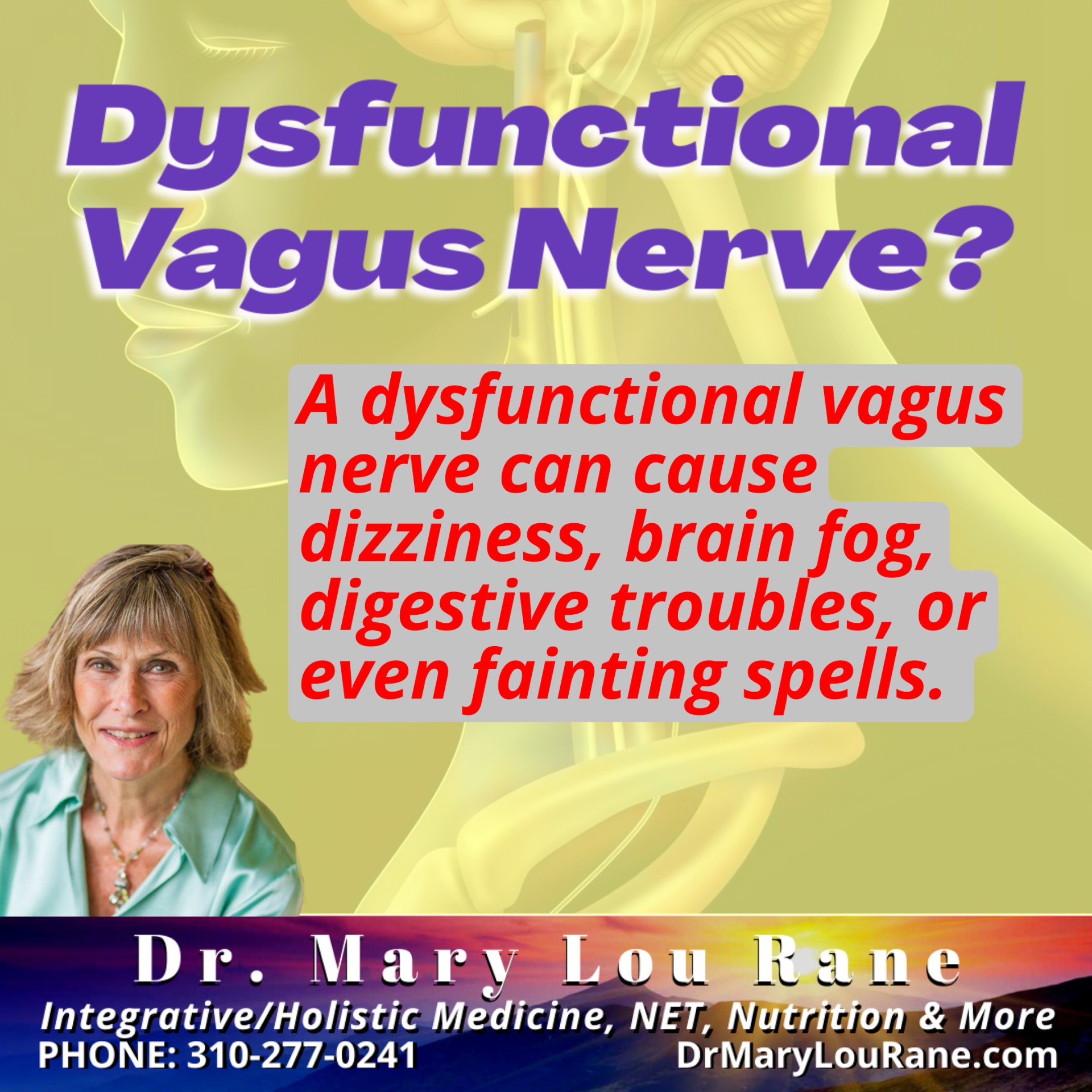 Dysfunctional Vagus Nerve? - Dr. Mary Lou Rane